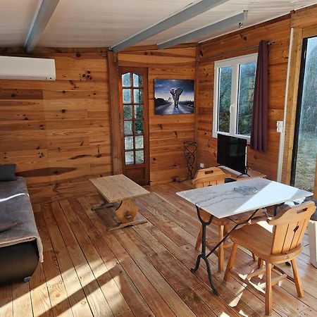 Chalet Banane Devant Piscine, A 6Km Du Festival De Piano De La Roque D'Antheron Rognes Экстерьер фото